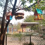 विद्यार्थियों ने पक्षियों के लिए बनाए घोंसले – समर कैम्प की अनूठी पहल