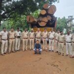 कोरबा वन मंडल की बड़ी कार्रवाई: 20 घनमीटर अवैध साल लकड़ी बरामद, मुख्य आरोपी गिरफ्तार